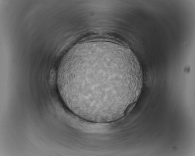 X0000114700036200911121550