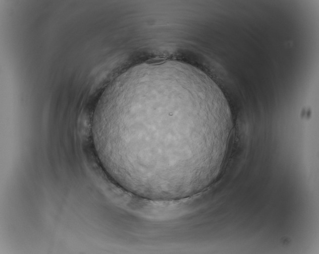 X0000114700037200911121550