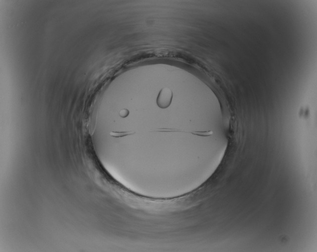 X0000114700039200911121550