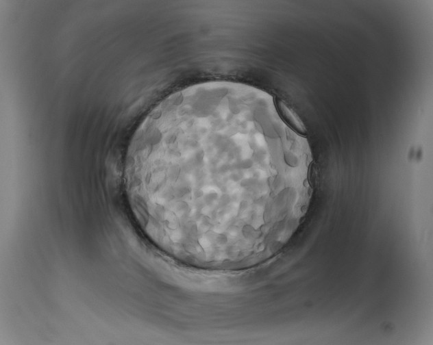 X0000114700040200911121550