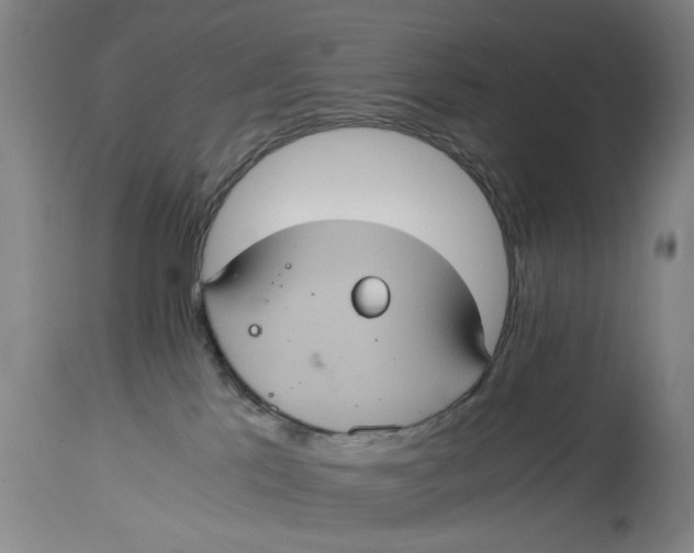 X0000114700041200911121550