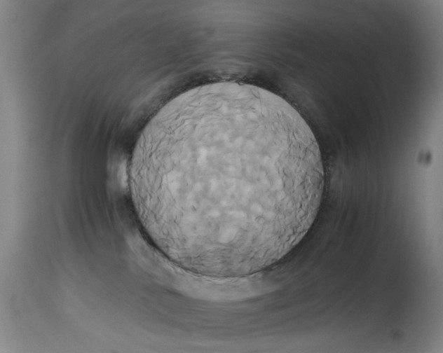 X0000114700042200911121550