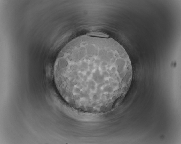 X0000114700044200911121550