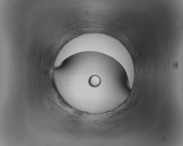 X0000114700045200911121550