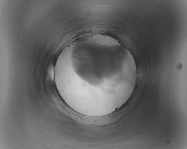 X0000114700046200911121550