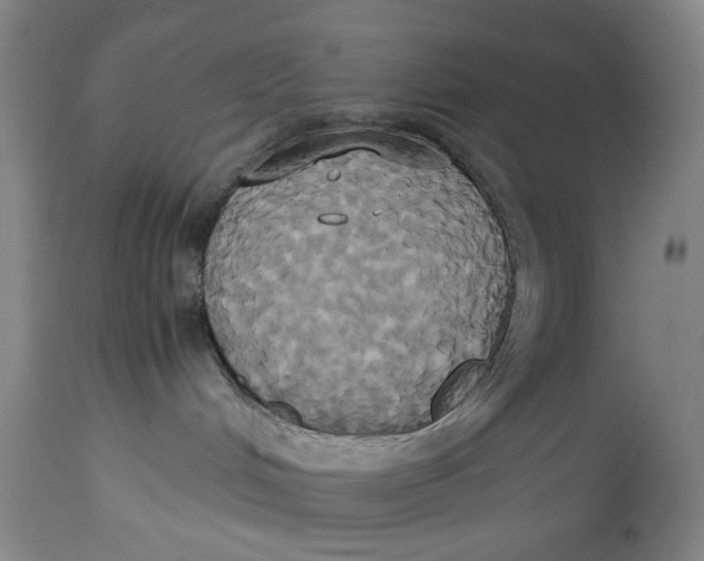 X0000114700048200911121550