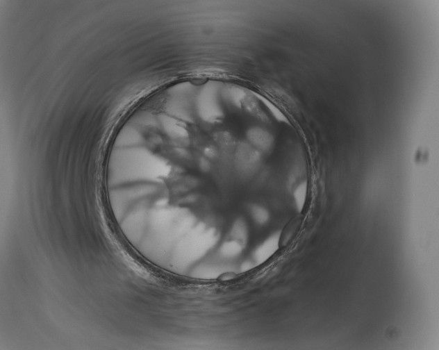 X0000114700049200911121549