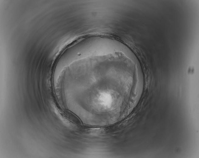 X0000114700050200911121549