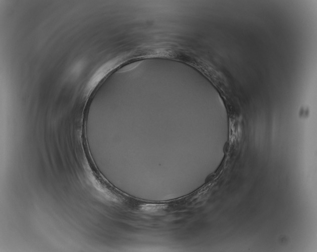 X0000114700051200911121549