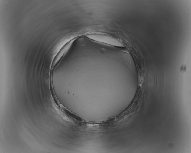 X0000114700052200911121549