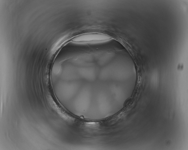 X0000114700053200911121549