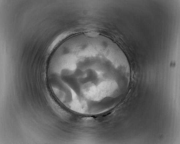 X0000114700054200911121549