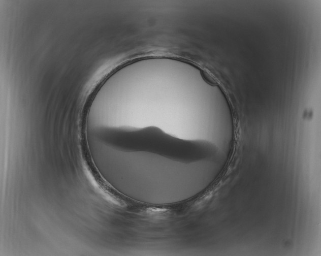 X0000114700055200911121549