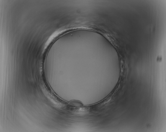 X0000114700056200911121549