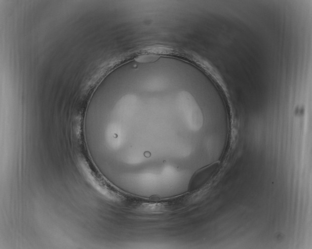 X0000114700057200911121549