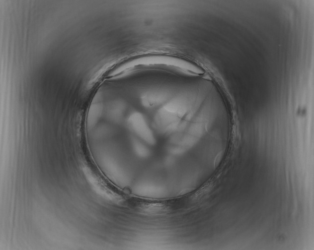 X0000114700058200911121549