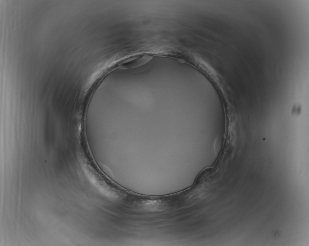 X0000114700059200911121549