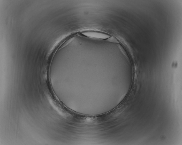 X0000114700060200911121549