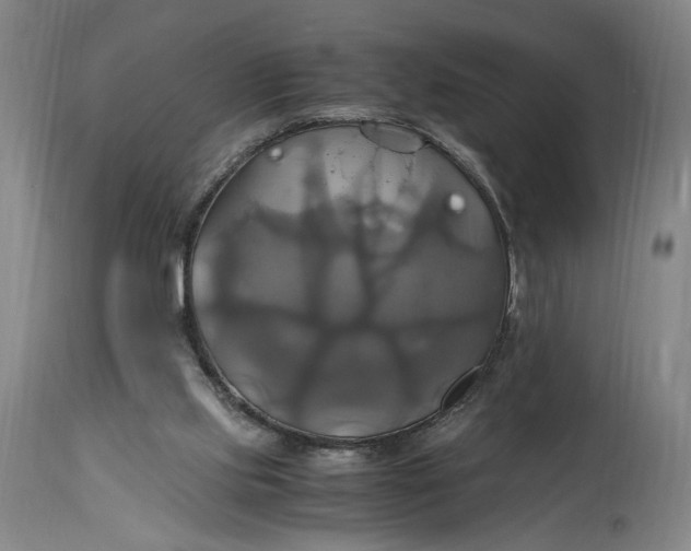 X0000114700061200911121549