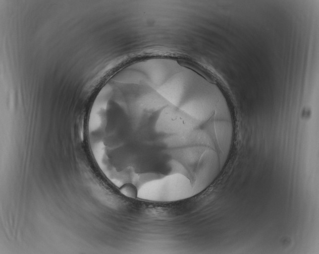 X0000114700062200911121549