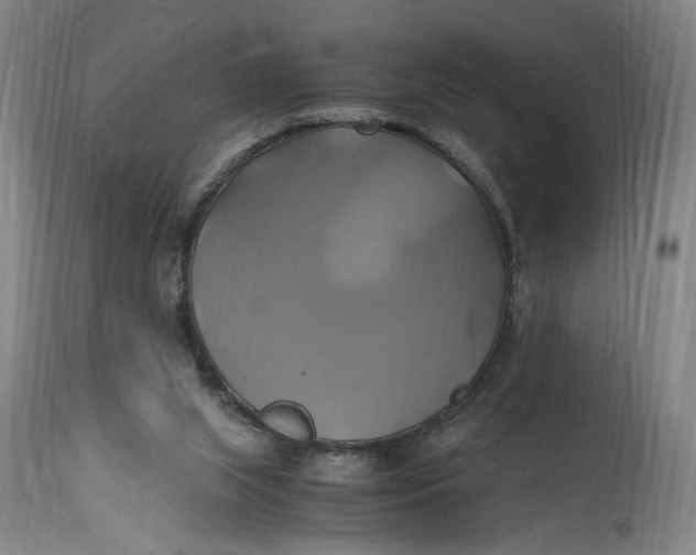 X0000114700063200911121549