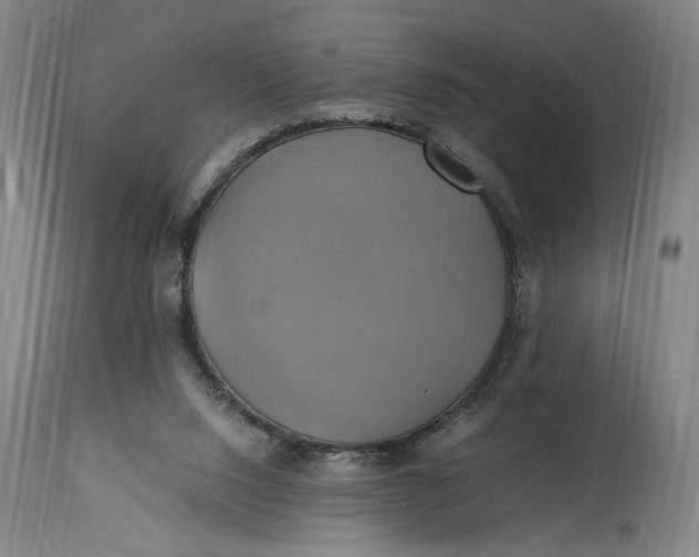 X0000114700064200911121549