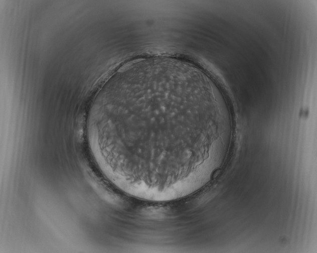 X0000114700065200911121549