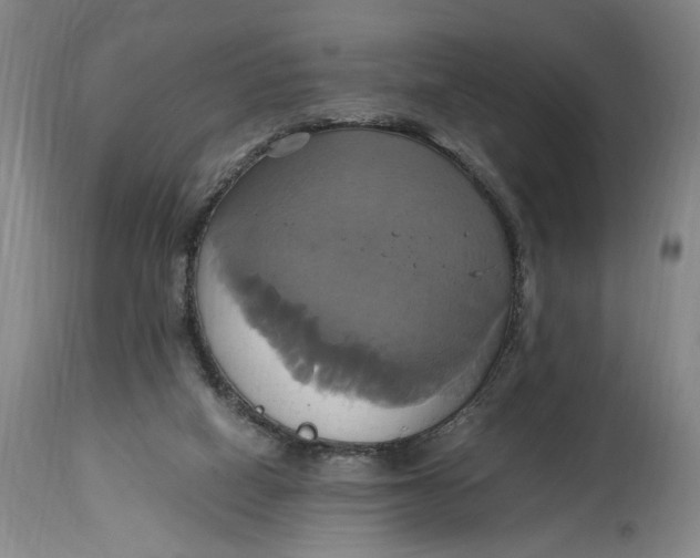 X0000114700066200911121549