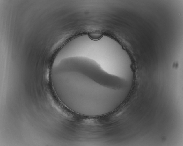 X0000114700067200911121549