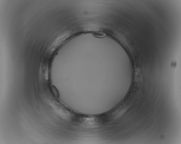 X0000114700068200911121549