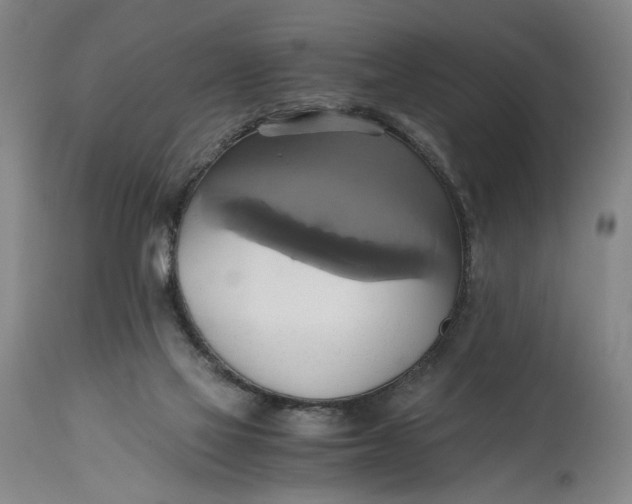 X0000114700069200911121549