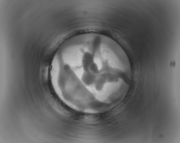 X0000114700070200911121549