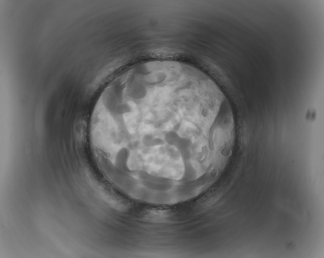 X0000114700071200911121549