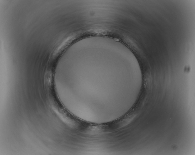 X0000114700072200911121549