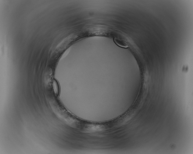 X0000114700073200911121549