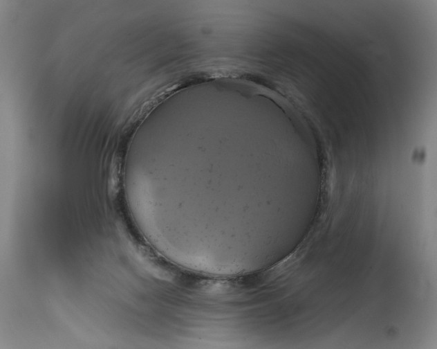 X0000114700074200911121549