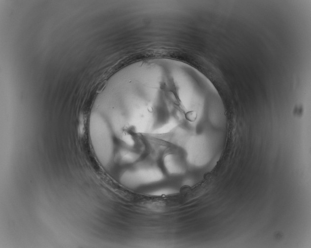 X0000114700075200911121549