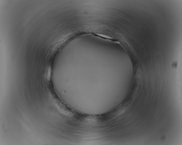 X0000114700076200911121549