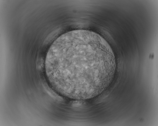 X0000114700077200911121549