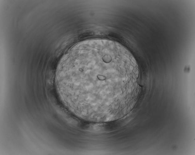 X0000114700078200911121549