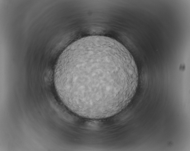 X0000114700079200911121549