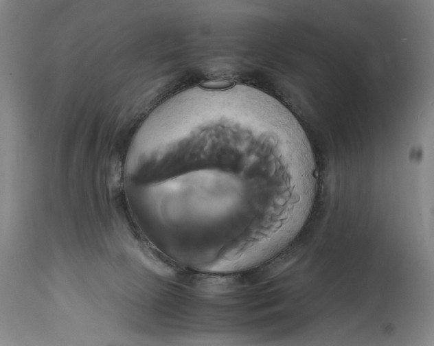 X0000114700081200911121549