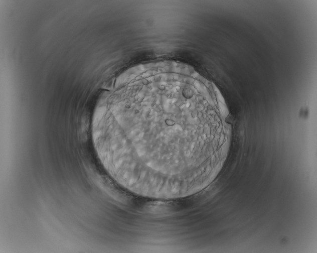 X0000114700082200911121549