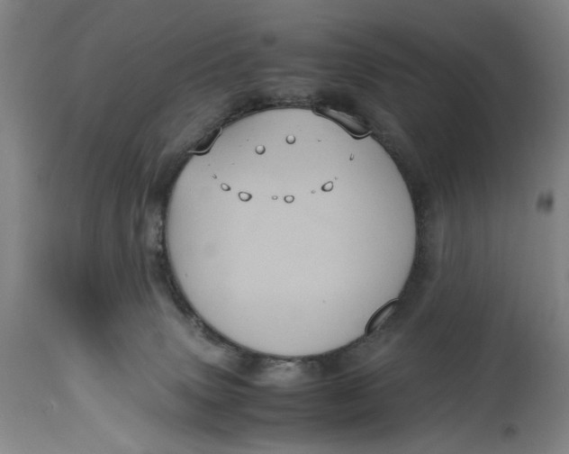 X0000114700083200911121549