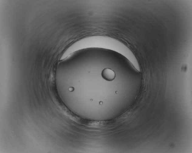 X0000114700084200911121549