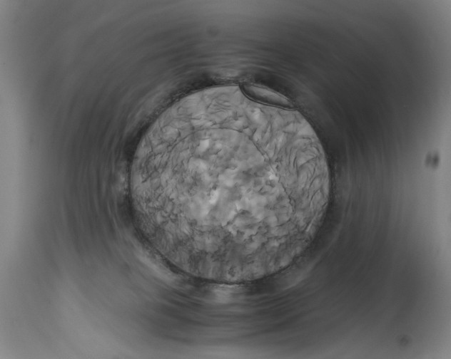 X0000114700085200911121550