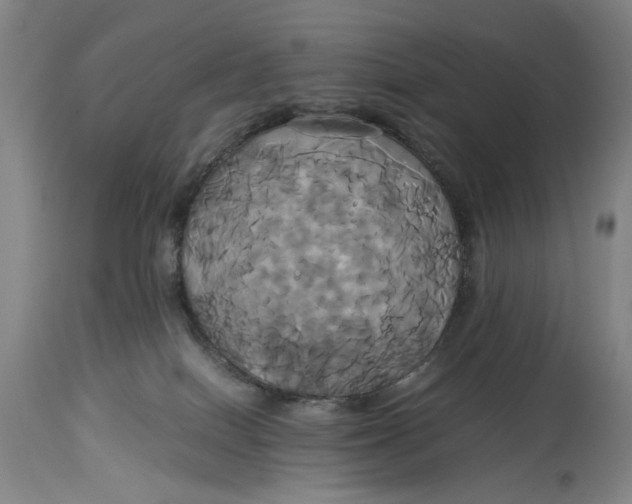 X0000114700086200911121550