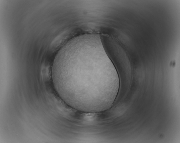 X0000114700088200911121550