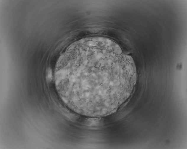 X0000114700089200911121550