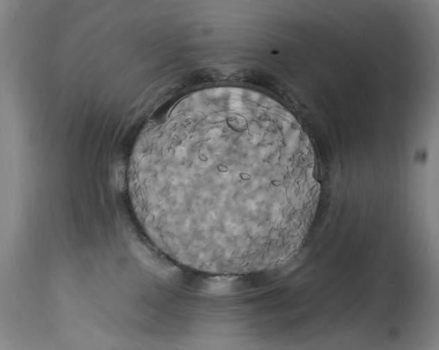 X0000114700090200911121550